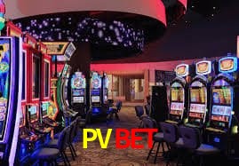 Sistemas de Segurança PVBET